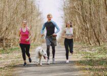 exercise walking tips