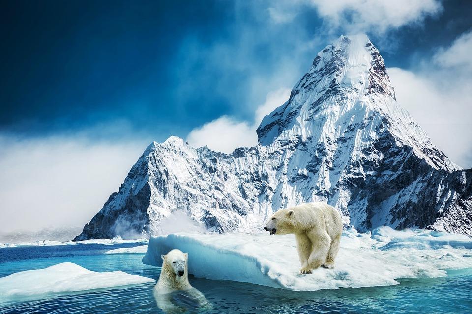 2 polar bears, 1 in the cold ocean and the other on an ice shelf